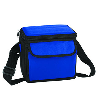 6-Can Lunch Cooler
