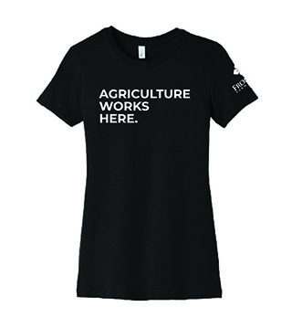 Ladies' Favorite Tee