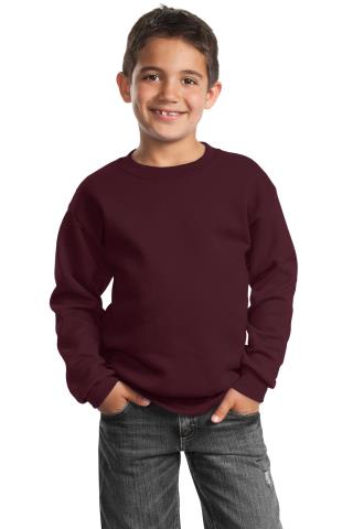 Youth Crewneck Sweatshirt